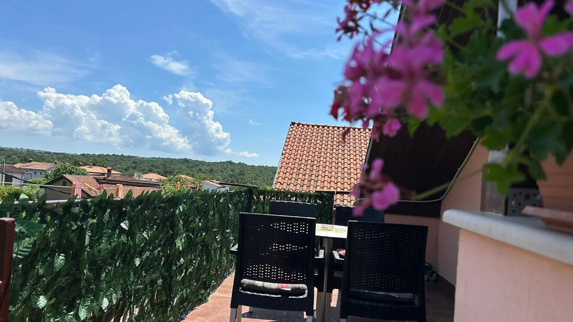 Apartment Milena Brtonigla Croatia